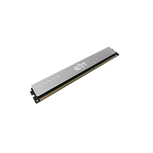 Skihotar 8GB DDR3 1600mhz