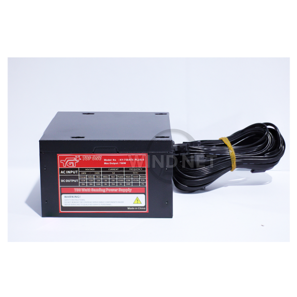 YGT Top One Plus II (750W Max, Rated 350W)