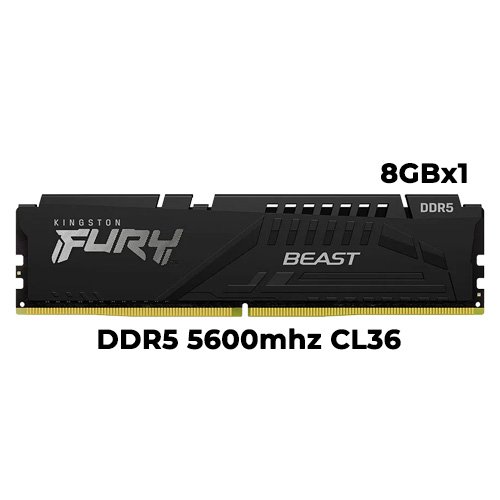 Kingston Fury Beast 8GB DDR5 5600mhz CL36